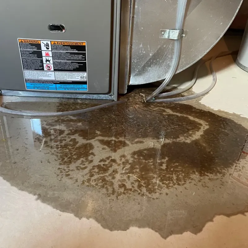 Appliance Leak Cleanup in Karnes City, TX